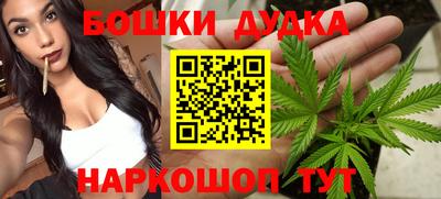 индика Наро-Фоминск